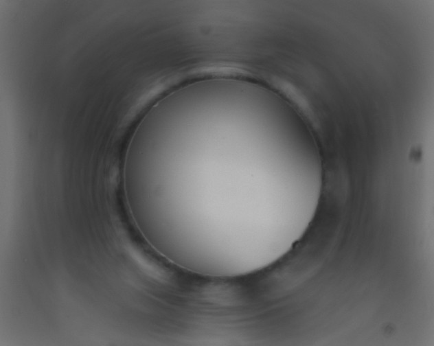 X0000093090063200710101526