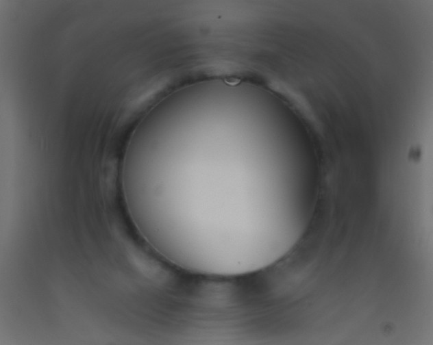 X0000093090066200710101526