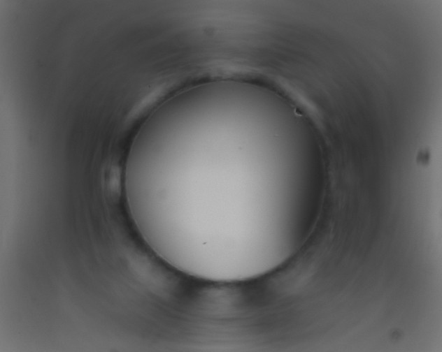 X0000093090067200710101526