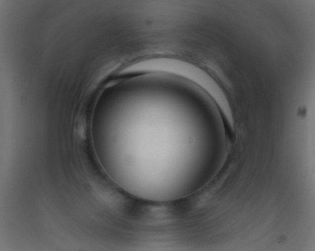 X0000093090068200710101526