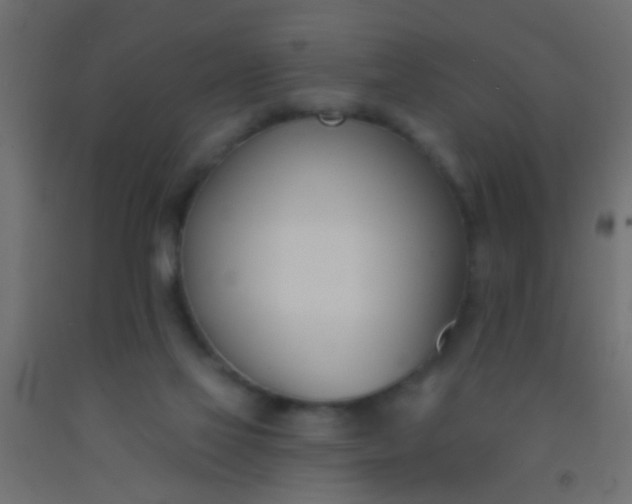 X0000093090069200710101526