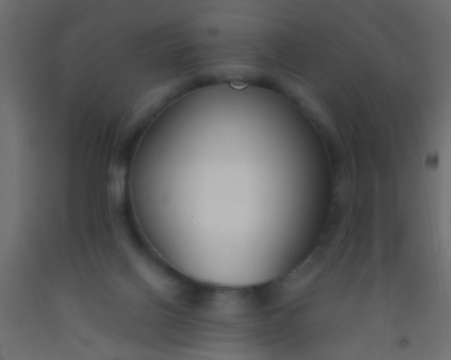 X0000093090070200710101526