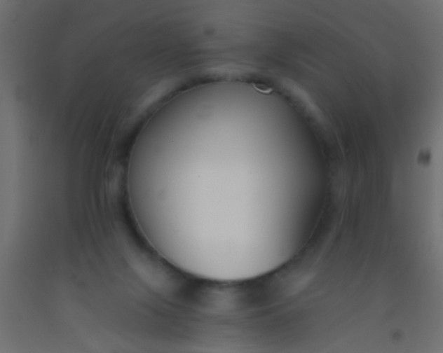 X0000093090071200710101526