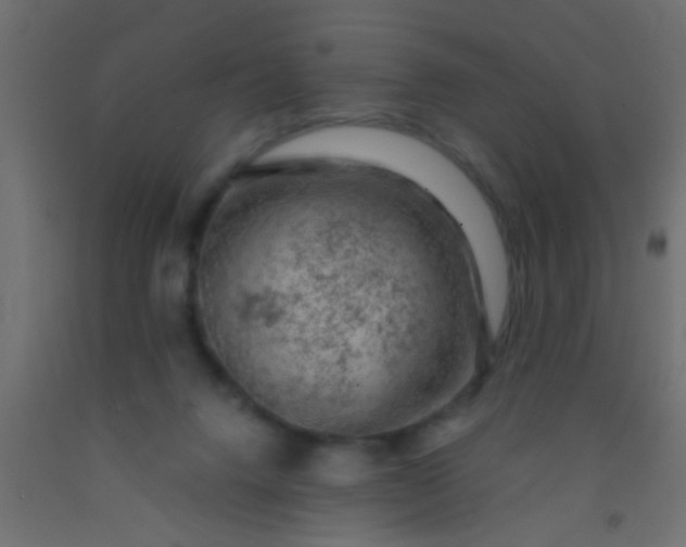 X0000093090072200710101526