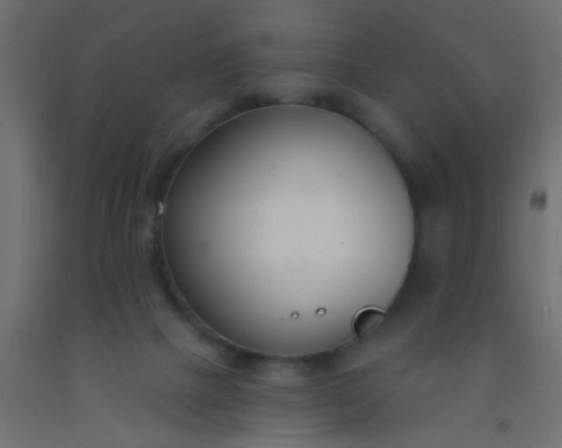 X0000093090073200710101526