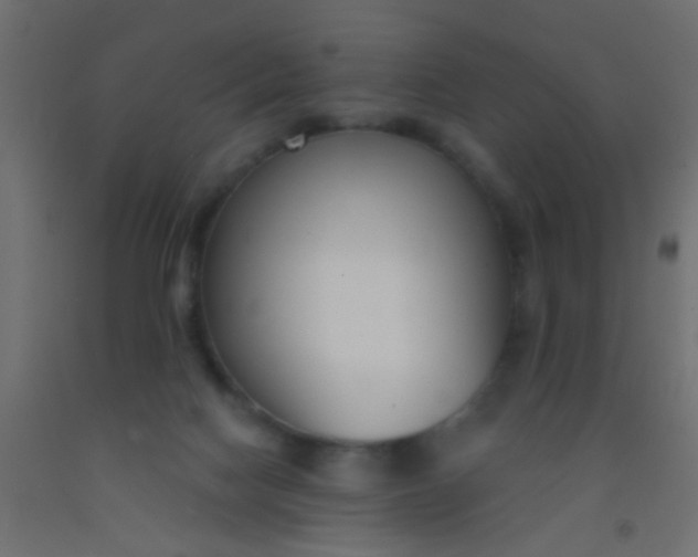 X0000093090074200710101526