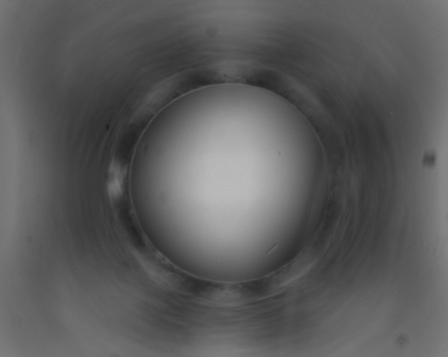 X0000093090075200710101526