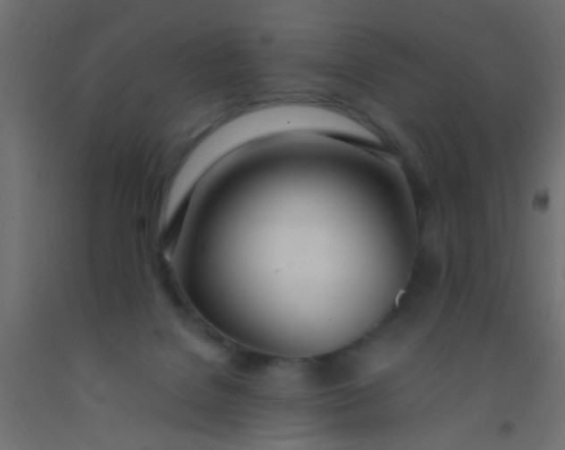 X0000093090076200710101526