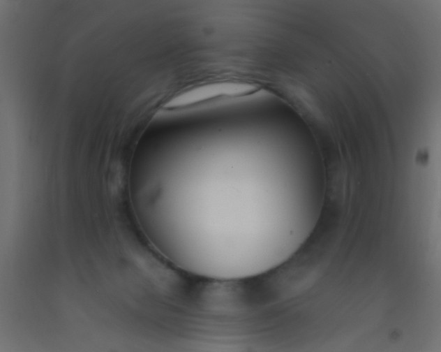 X0000093090077200710101526