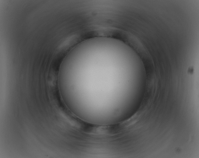 X0000093090078200710101526