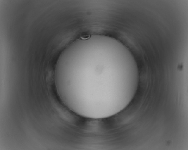 X0000093090079200710101526