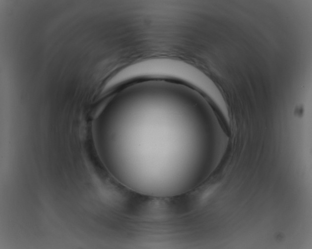 X0000093090080200710101526