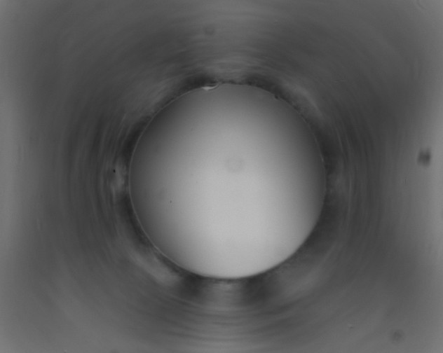 X0000093090081200710101526