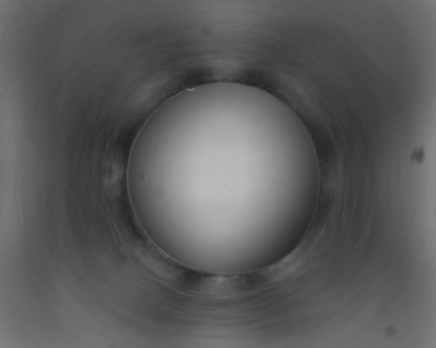 X0000093090082200710101526