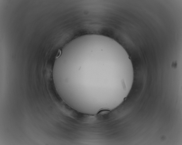 X0000093090083200710101526