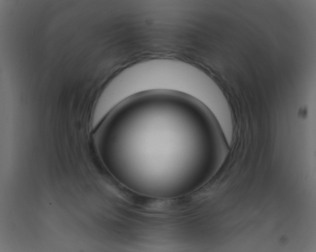 X0000093090084200710101526