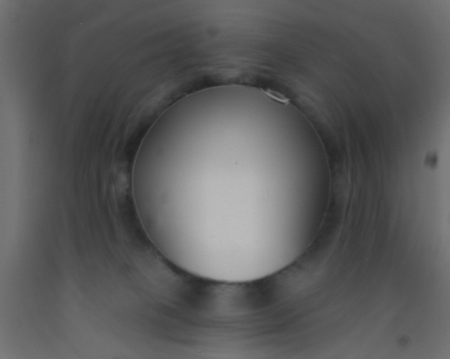 X0000093090085200710101526