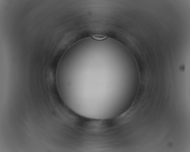 X0000093090086200710101526