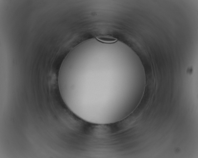 X0000093090087200710101526