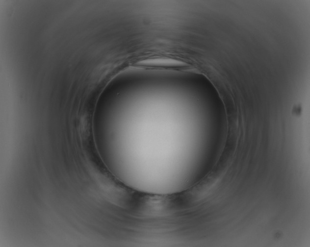 X0000093090088200710101526