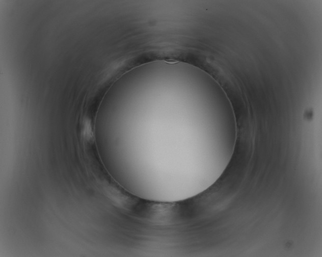 X0000093090089200710101526