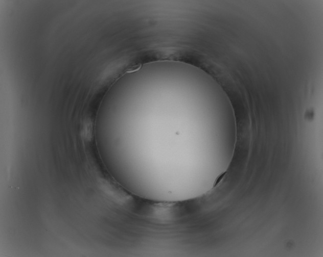 X0000093090090200710101526