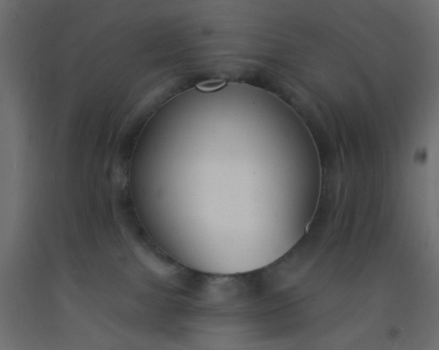 X0000093090091200710101526