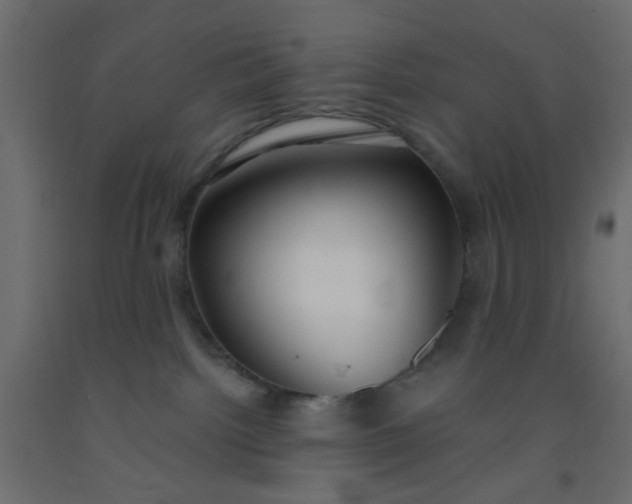 X0000093090092200710101526