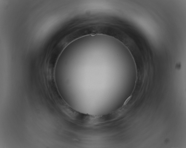 X0000093090093200710101526