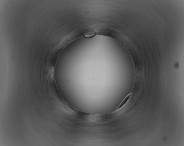 X0000093090094200710101526