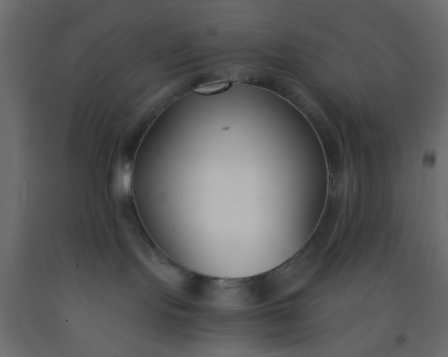 X0000093090095200710101526