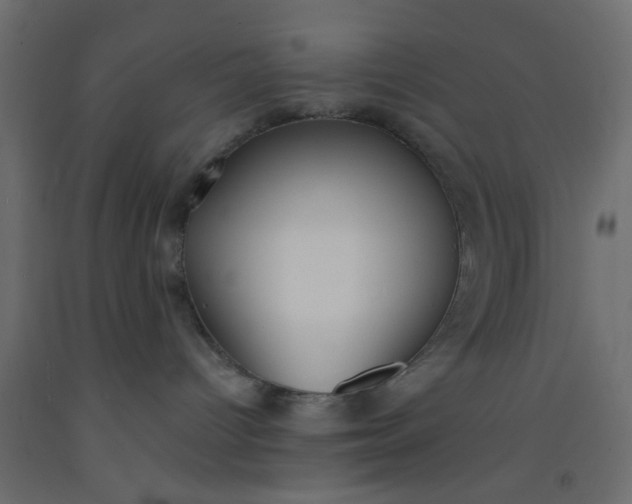 X0000093090096200710101526