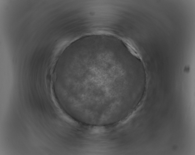 X0000093090097200710101525