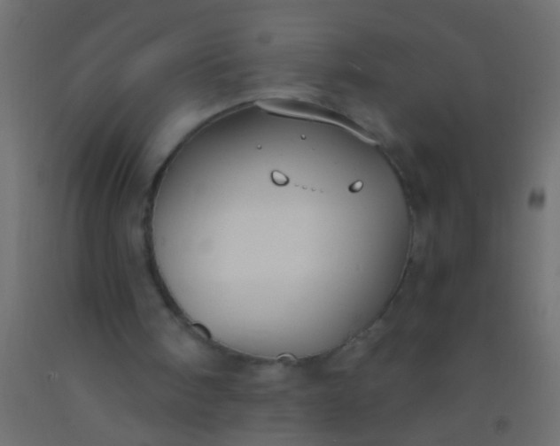 X0000093090098200710101525