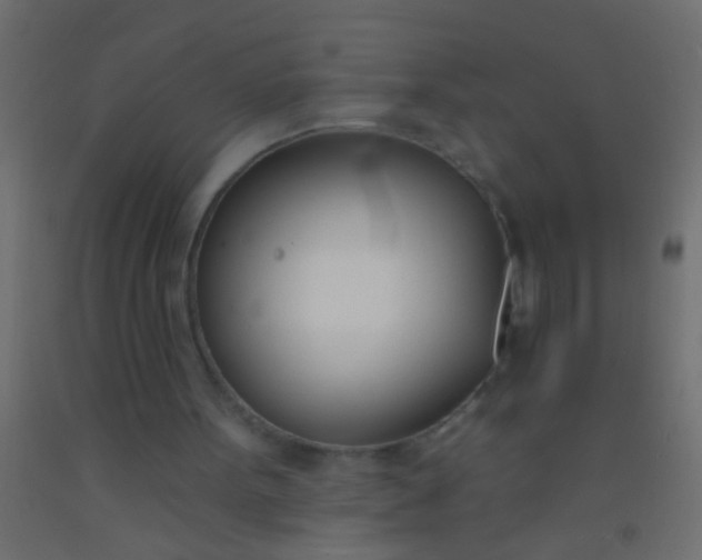 X0000093090099200710101525