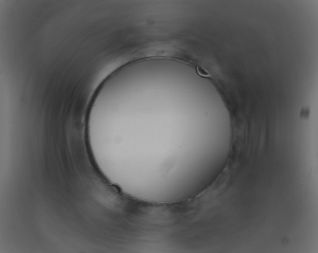 X0000093090100200710101525