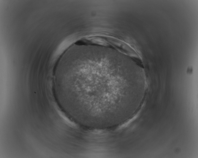 X0000093090101200710101525