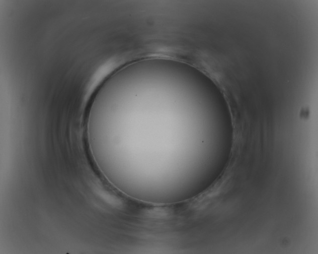 X0000093090102200710101525