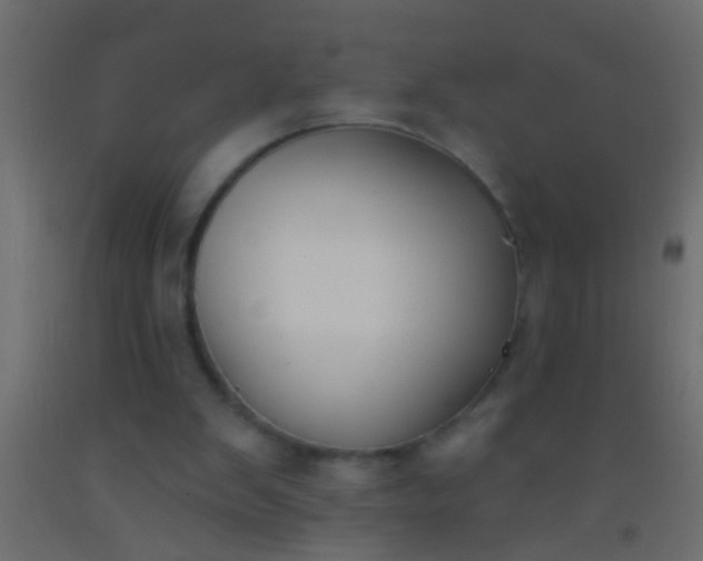 X0000093090103200710101525