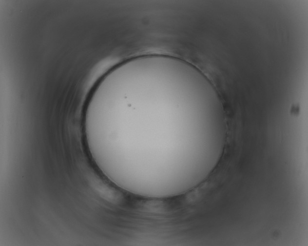 X0000093090104200710101525