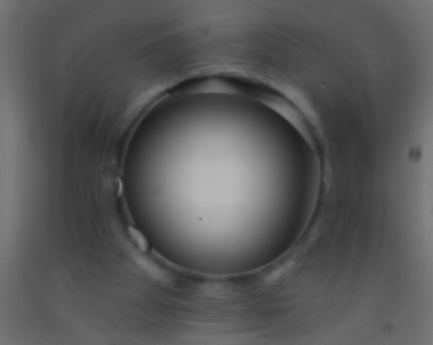 X0000093090105200710101525