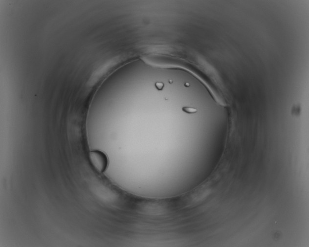 X0000093090106200710101525