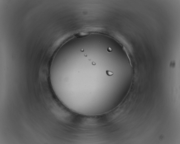 X0000093090107200710101525