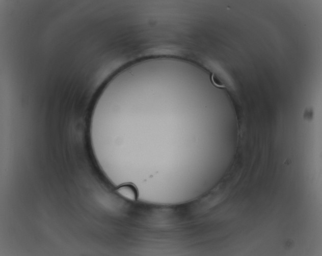 X0000093090108200710101525