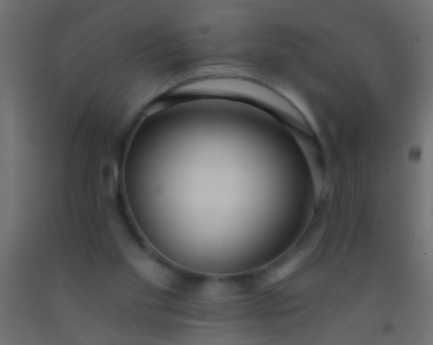 X0000093090109200710101525