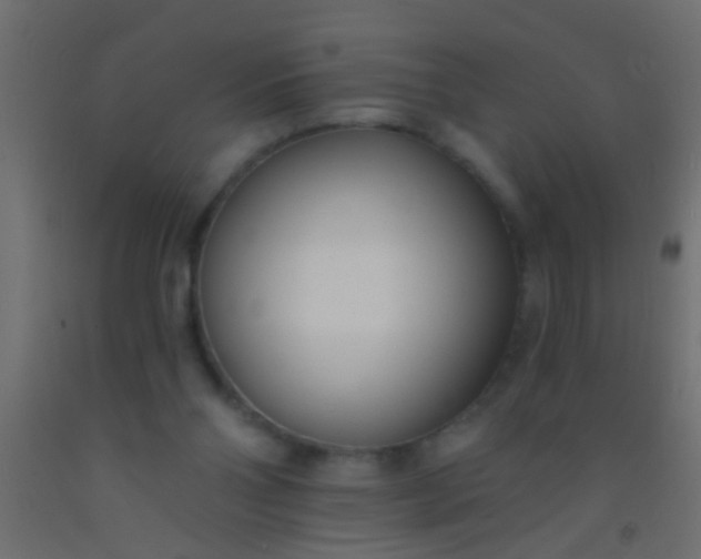 X0000093090110200710101525