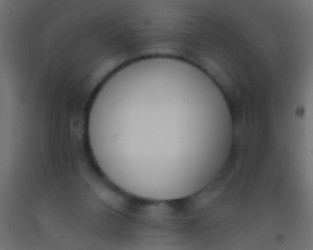 X0000093090112200710101525