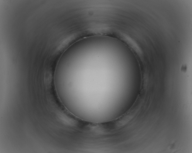 X0000093090113200710101525