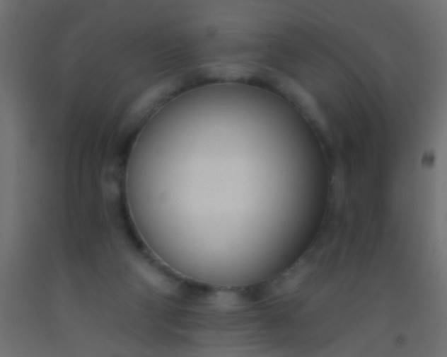 X0000093090114200710101525