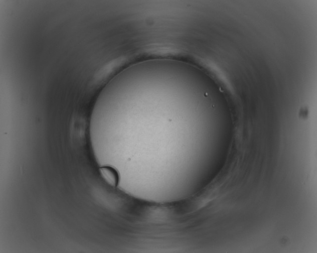 X0000093090115200710101525